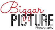 Biggar Picture logo