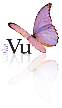 The Vu logo