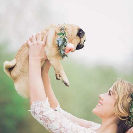 How to include your pets in your wedding image