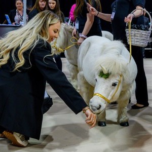 Press Page - Image of visitor with the Unicorn Experience horse
