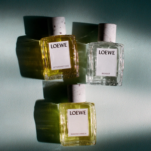 Loewe perfumes